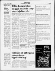 Síða 3