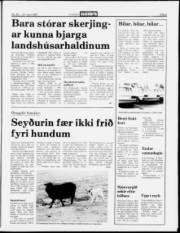 Síða 5