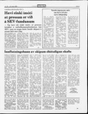 Síða 9