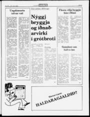 Síða 5