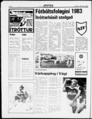 Síða 8