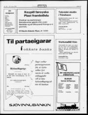 Síða 19