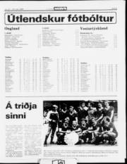 Síða 9