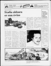 Síða 20