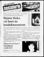 Síða 1