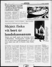 Síða 2