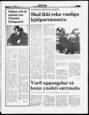 Síða 3
