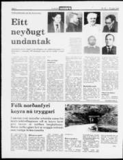 Síða 2
