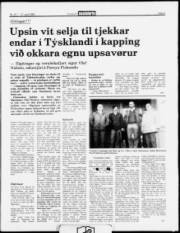Síða 3