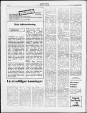 Síða 6