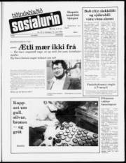 Síða 1