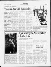 Síða 5