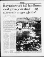 Síða 8