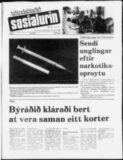 Síða 1