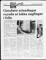 Síða 12