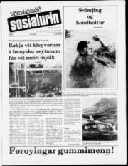 Síða 1