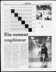 Síða 8