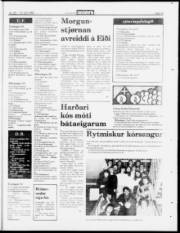 Síða 15