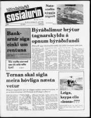 Síða 1