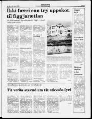 Síða 3