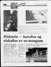 Síða 12