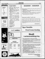 Síða 23