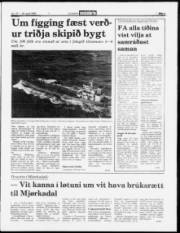 Síða 3
