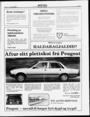 Síða 11