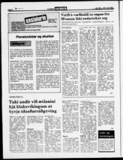 Síða 6