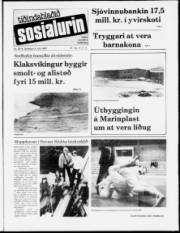 Síða 1