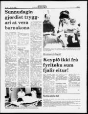 Síða 5
