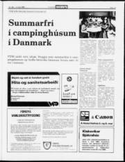 Síða 13