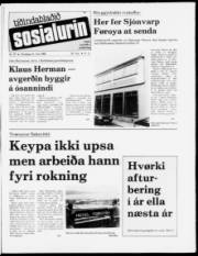 Síða 1