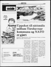 Síða 3