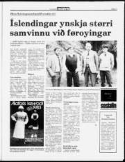 Síða 11