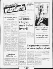 Síða 1