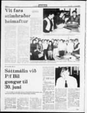 Síða 2