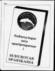 Síða 3
