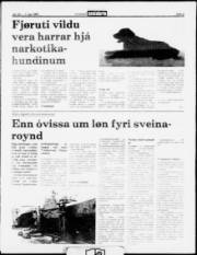 Síða 5
