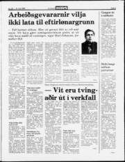 Síða 3