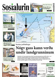 Síða 1