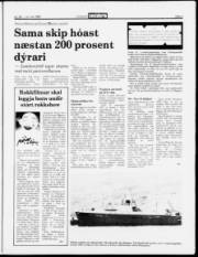 Síða 3
