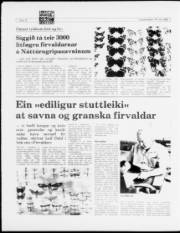 Síða 12