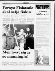 Síða 21