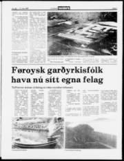 Síða 3