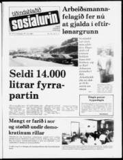 Síða 1