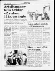 Síða 5