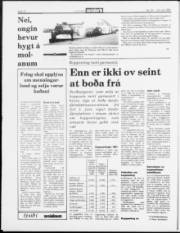 Síða 10