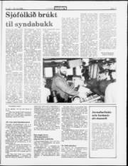 Síða 11