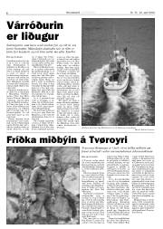 Síða 8